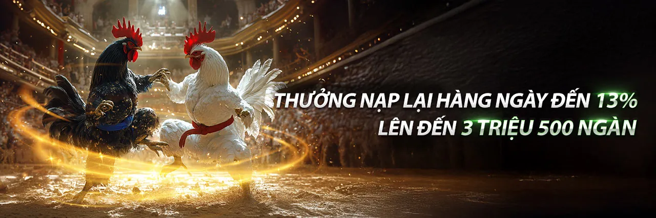 Đá Gà C2 25/10 - Sân đấu kịch tính